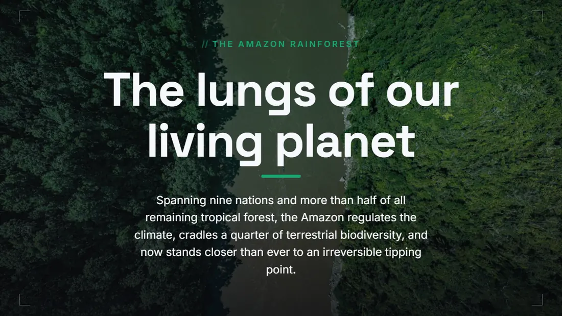 The Amazon Rainforest — slide 1 of 16, Emerald theme