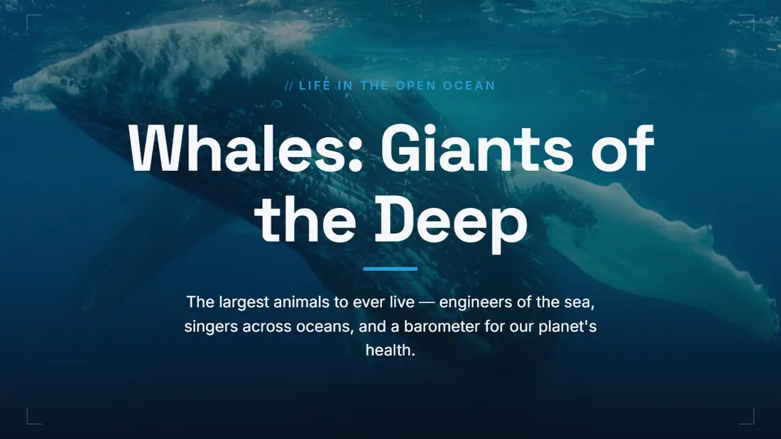 Whales: Giants of the Deep — slide 1 of 11, Slate theme